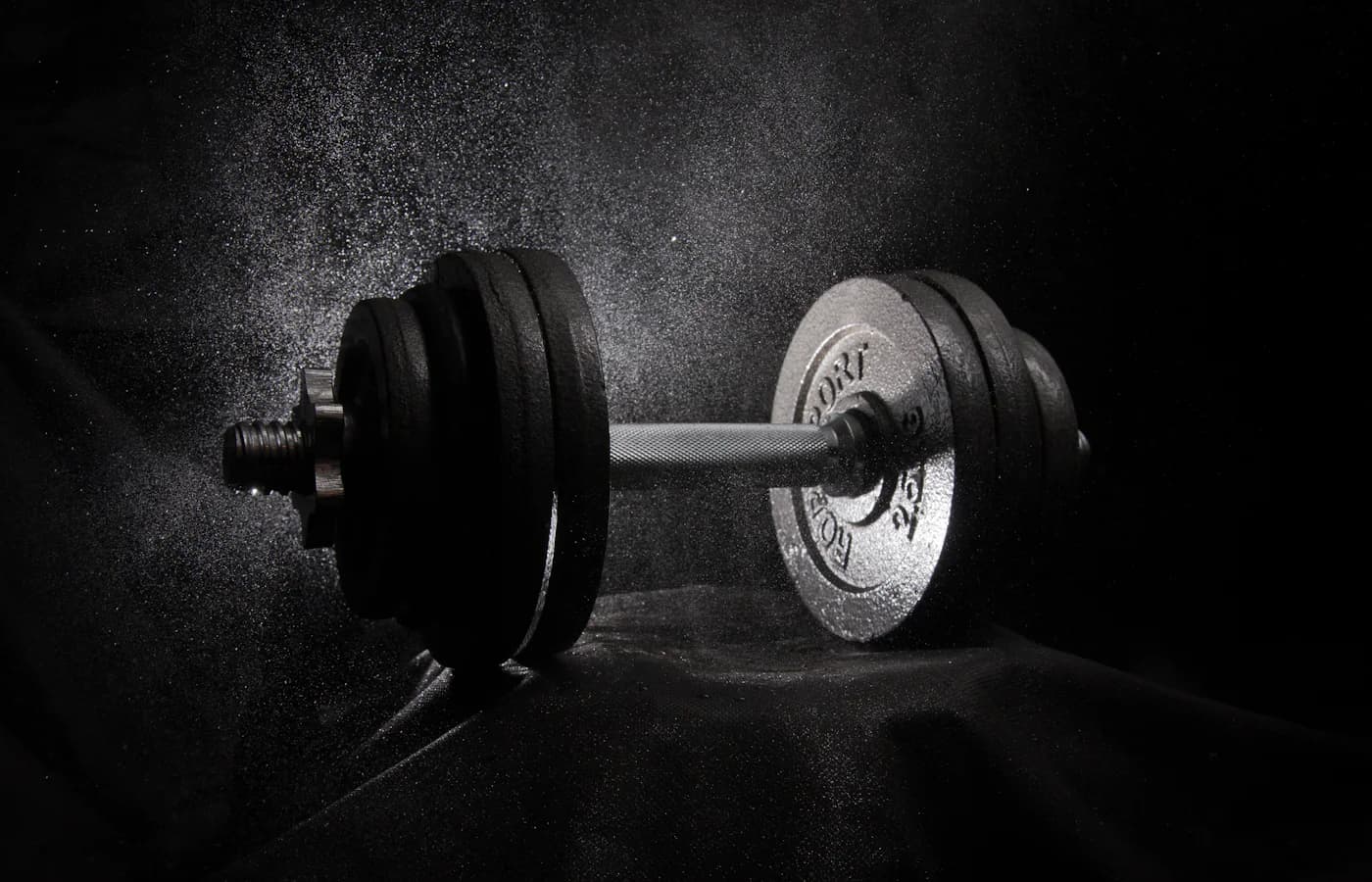 A real strength-training or gym environment.