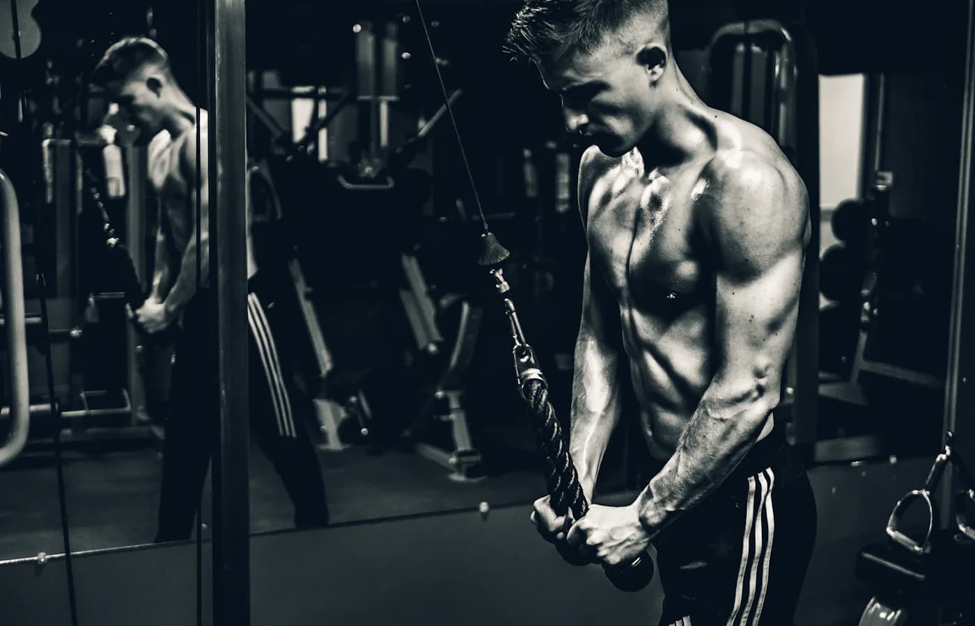 A real strength-training or gym environment.